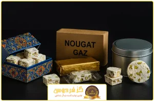 تصویر شاخص | انواع بسته بندی گز