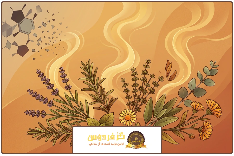 تحلیل عطر و بو | خرید گز بلداجی طبیعی